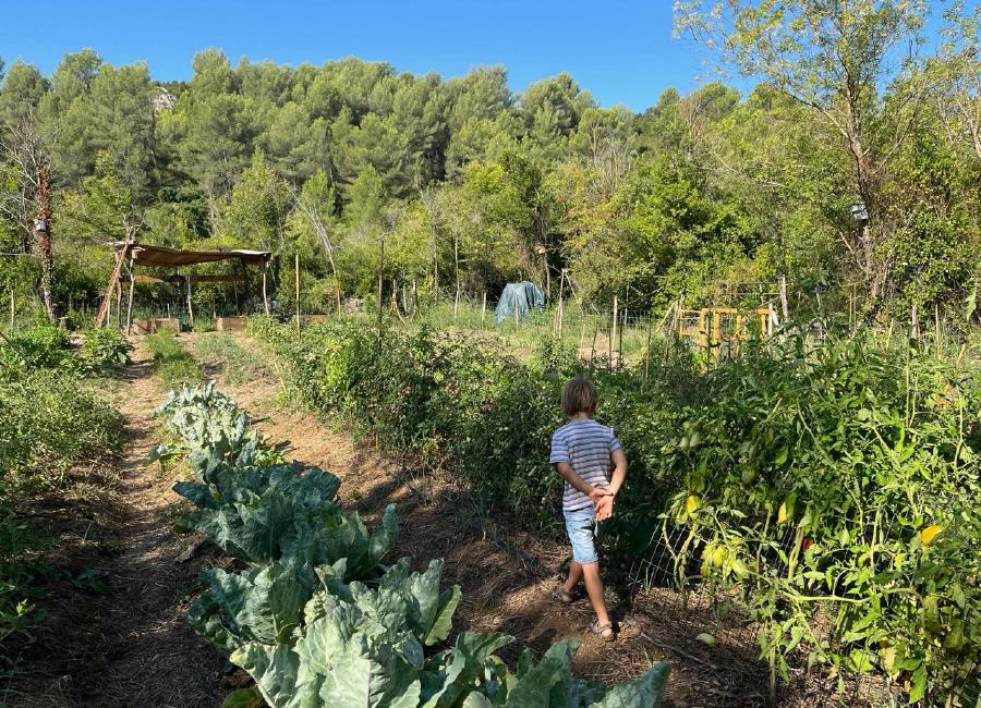 img/IMG_0067 Large.jpeg