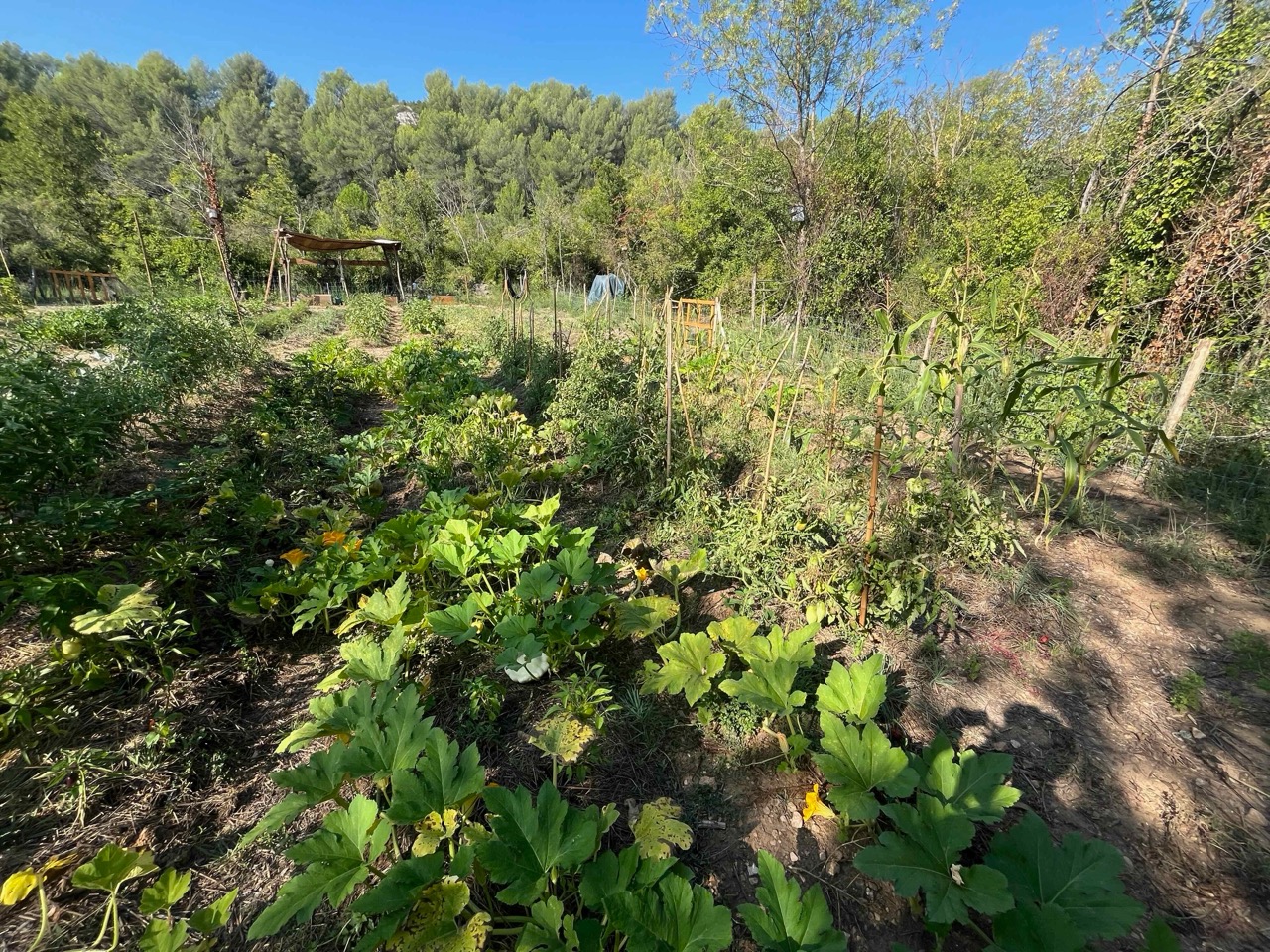 img/IMG_0072 Large.jpeg