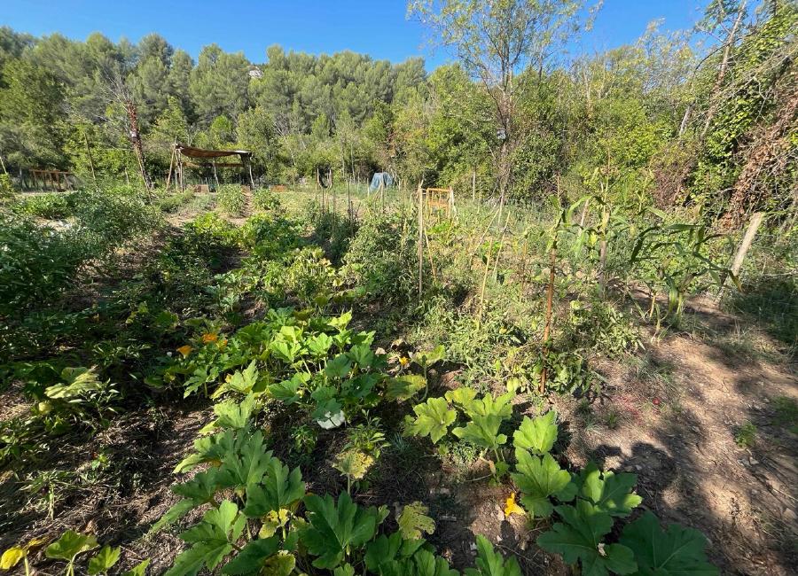 img/IMG_0072 Large.jpeg