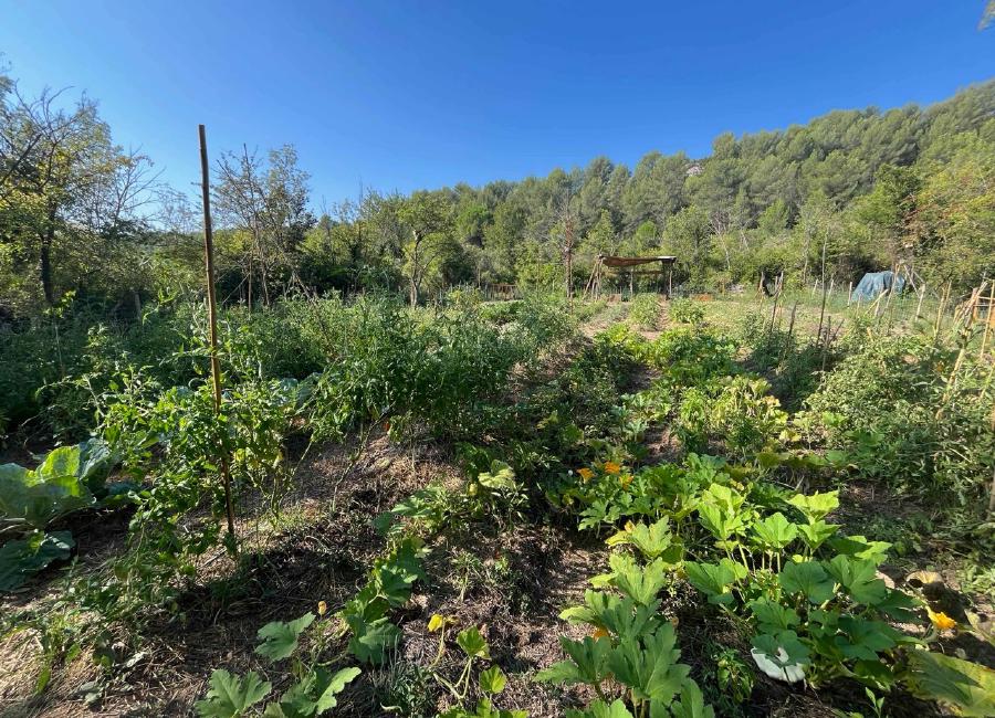 img/IMG_0073 Large.jpeg