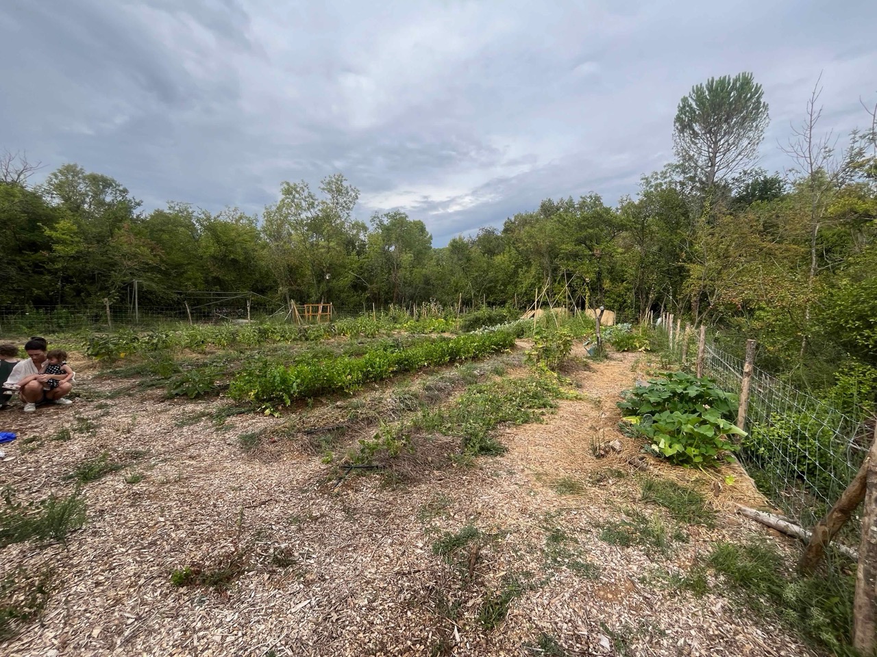 img/IMG_0093 Large.jpeg