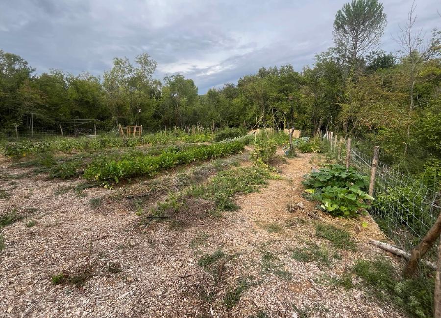 img/IMG_0093 Large.jpeg