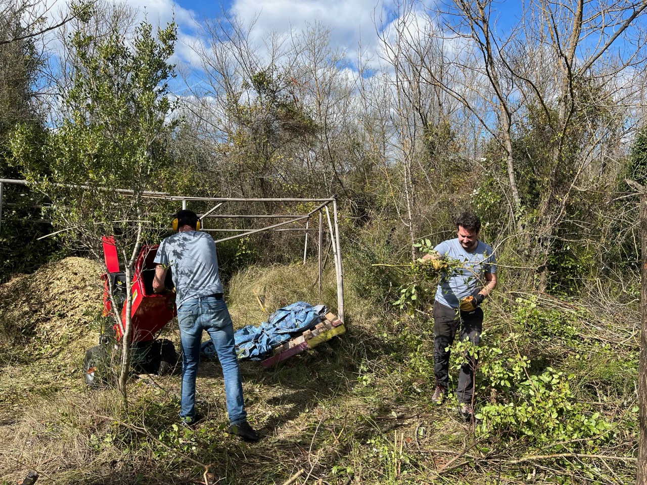 img/IMG_4787 Large.jpeg