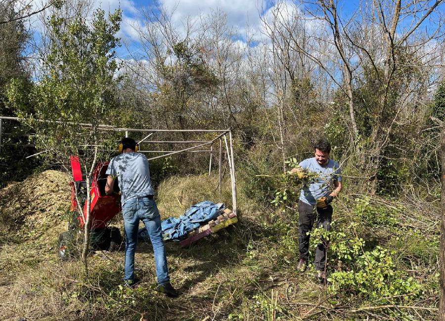 img/IMG_4787 Large.jpeg