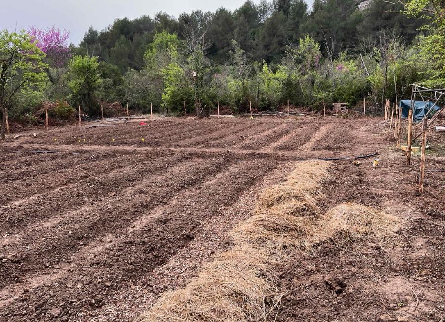 img/IMG_5100 Large.jpeg