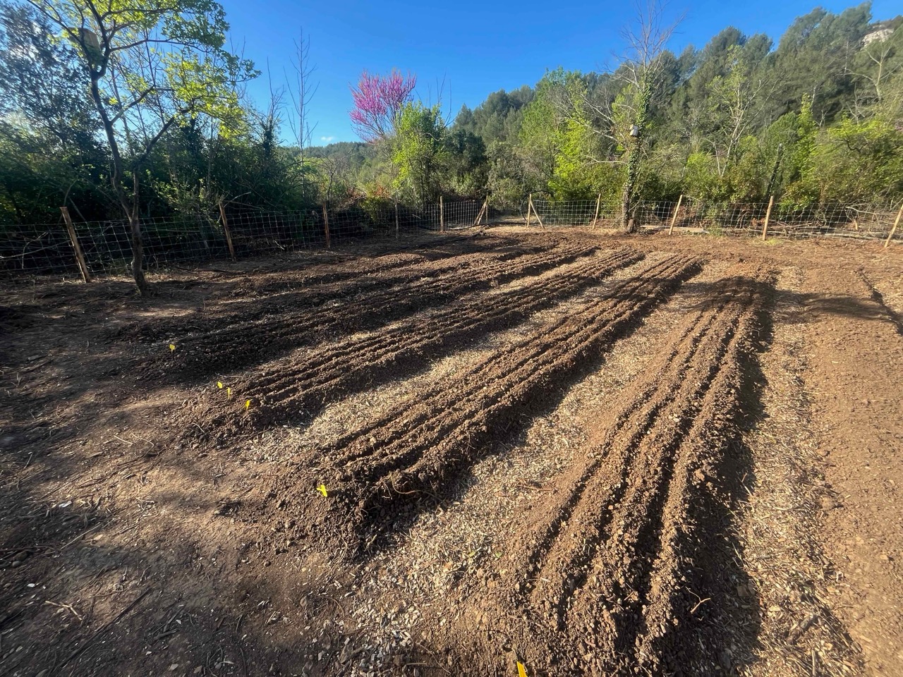 img/IMG_5107 Large.jpeg