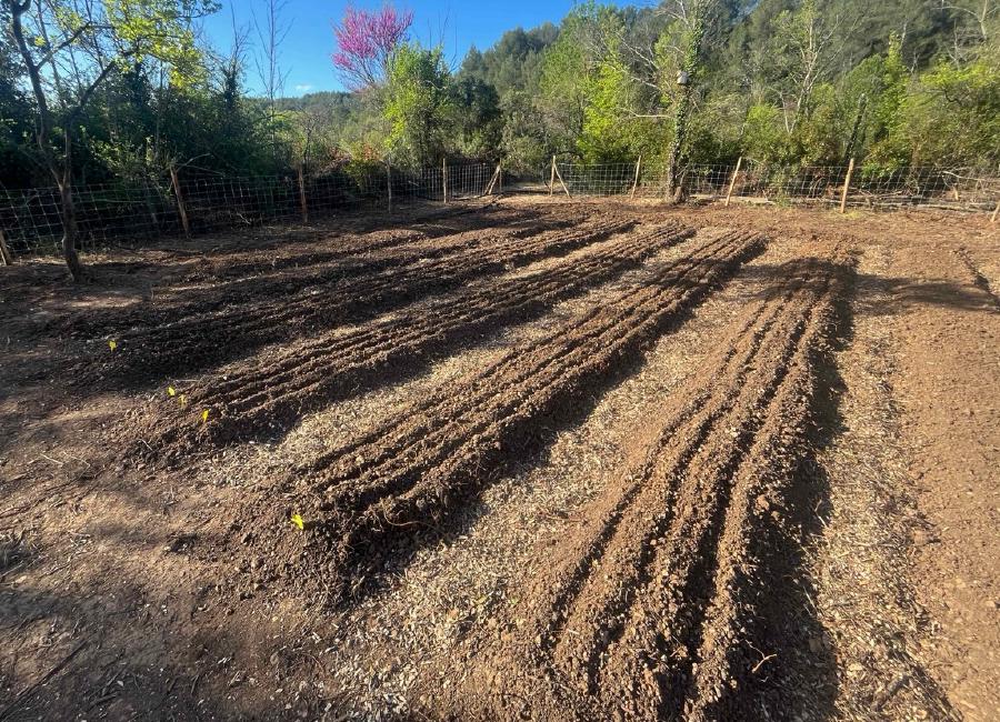 img/IMG_5107 Large.jpeg