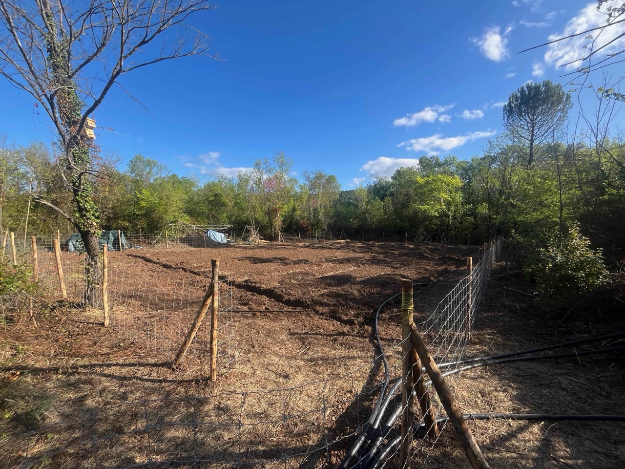 img/IMG_5112 Large.jpeg