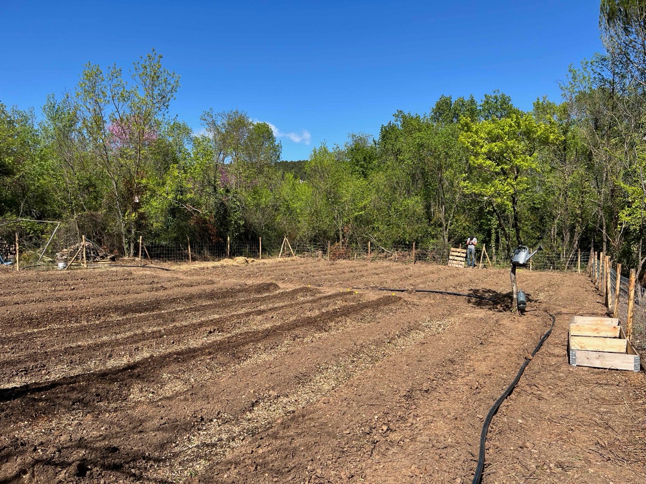 img/IMG_5114 Large.jpeg