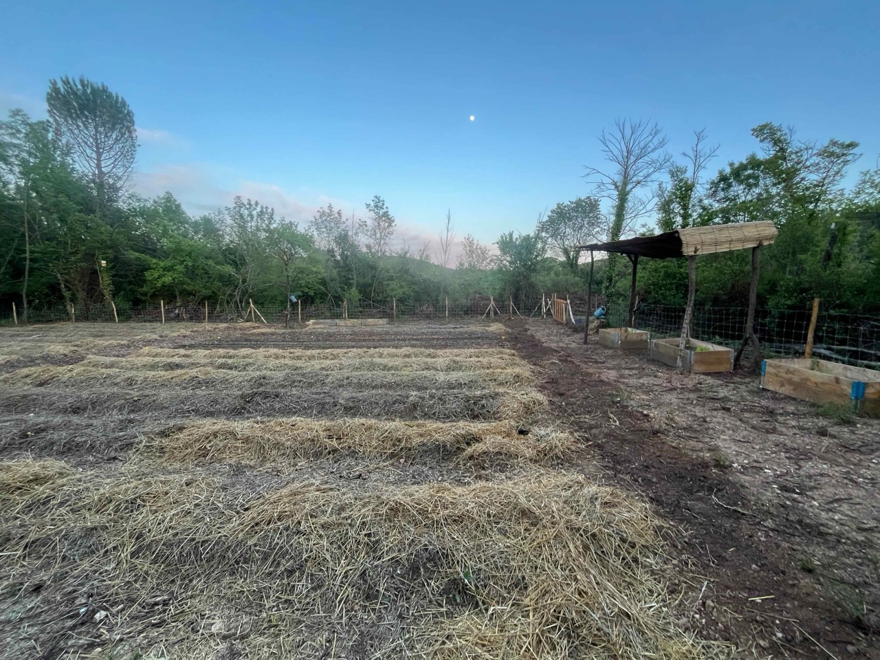 img/IMG_5526 Large.jpeg