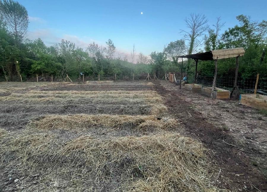 img/IMG_5526 Large.jpeg