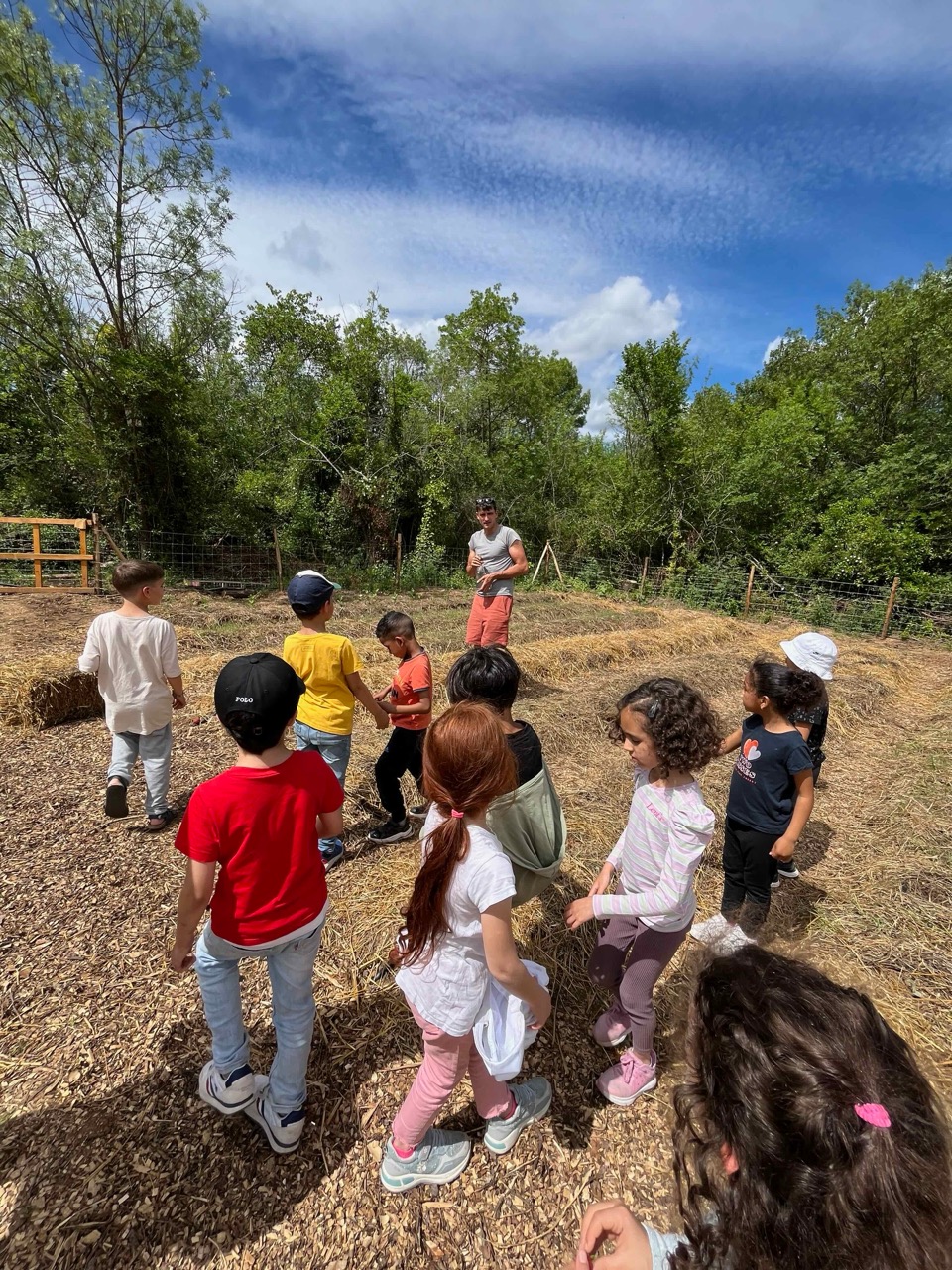 img/IMG_5625 Large.jpeg