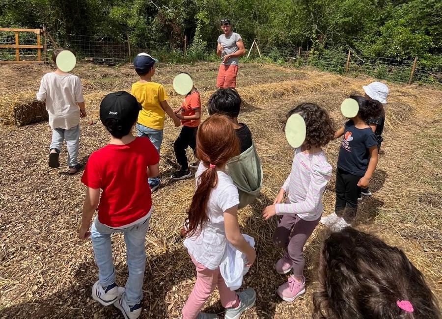 img/IMG_5625 Large.jpeg