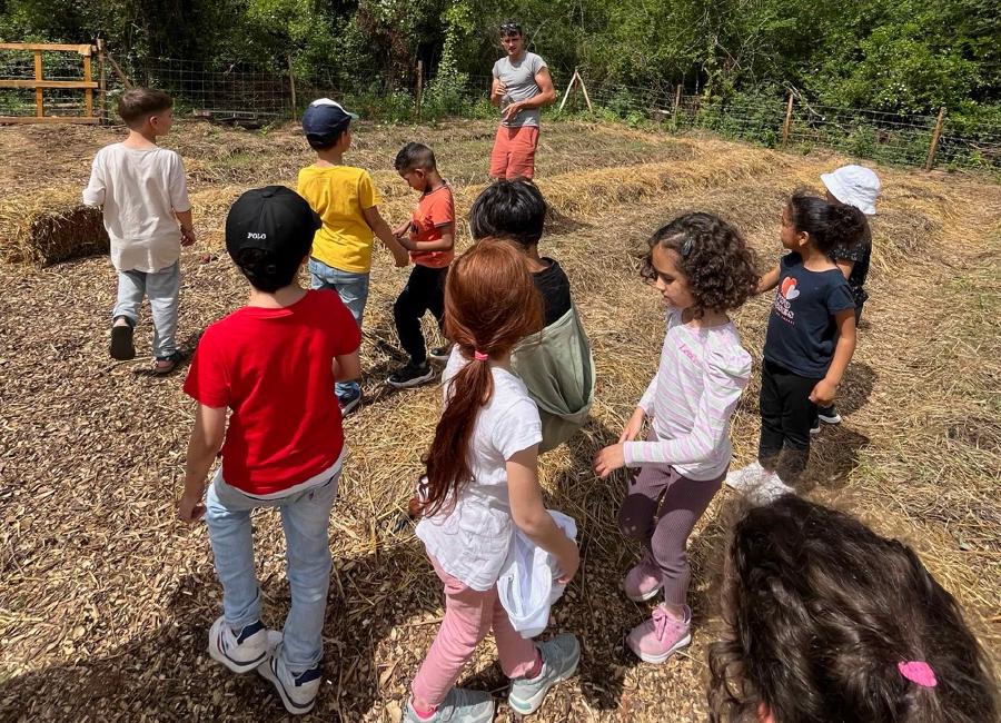 img/IMG_5625 Large.jpeg