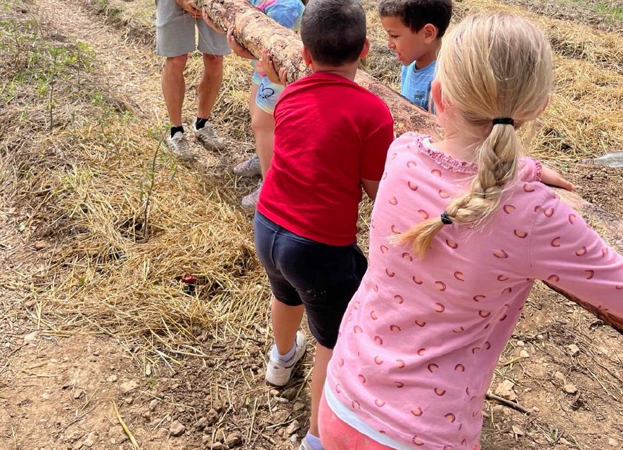 img/IMG_5635 Large.jpeg