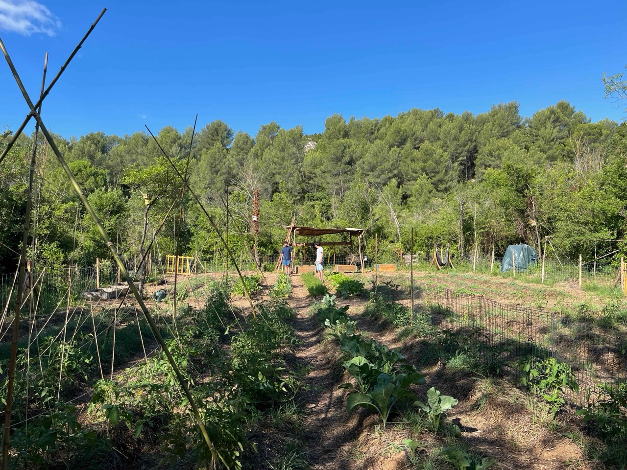 img/IMG_5808 Large.jpeg