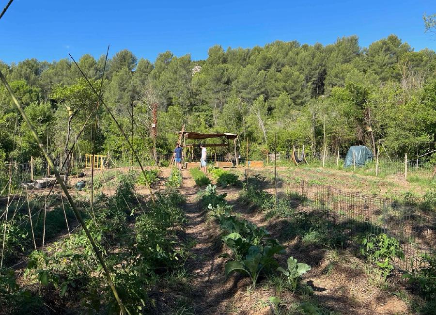 img/IMG_5808 Large.jpeg